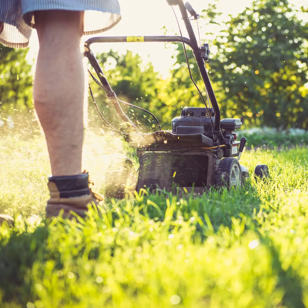 Close-up of landscaper mowing grass in a sunlit garden.